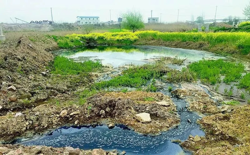 黑龍江省2024年農(nóng)村生活污水、黑臭水體治理工作方案出爐！